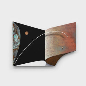 Dominik Halmer - EX-Shield