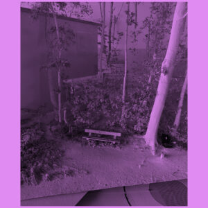 Weyhers, Dirk - Bänkchen im Wald