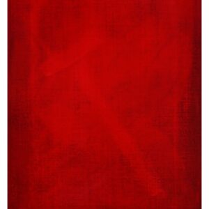 Tristan Drobik - untitled (willing)