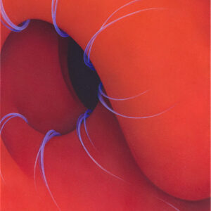 Maike Illies - Benebelt