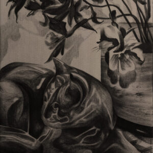 Nikolay Petrov – negation of a cat