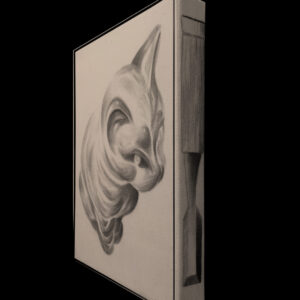 Nikolay Petrov - glassed cat