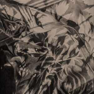 Nikolay Petrov – spot